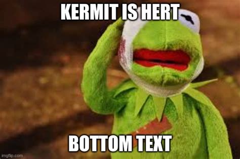 Kermit Is Hert Imgflip