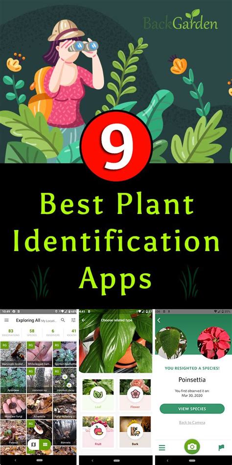 In the need of a quick, everyday workout to squeeze into your busy day? 9 Best Free Plant Identification Apps For Android & iOS ...