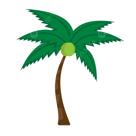 Buah Kelapa Png 16 Gambar Pohon Kelapa Untuk Logo Ker