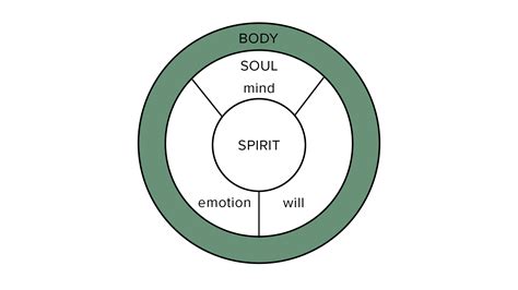 Renewing Your Mind Spirit Soul Body Connection Lizby Warren