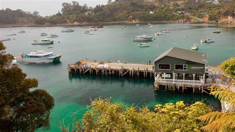 Stewart Island New Zealand Stewart Island Tours Cruises And Ferry Services