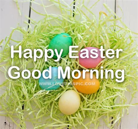 Pastel Easter Eggs Happy Easter Good Morning Pictures Photos And