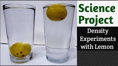 Water Density Experiment With Lemon Amazing Experiment Youtube