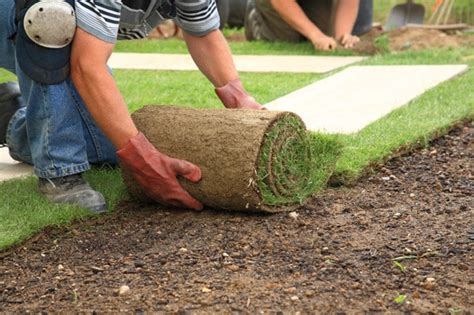 How to lay sod over existing lawn? Tips for Soil Preparation Before Laying Sod | Over The Big ...