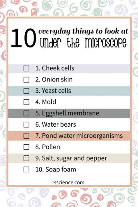 10 Everyday Things You Should Look At Under A Microscope Rs Science