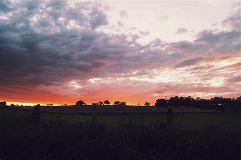 無料画像 地平線 雲 日の出 日没 フィールド 草原 太陽光 夜明け 雰囲気 夕暮れ イブニング プレーン 残光