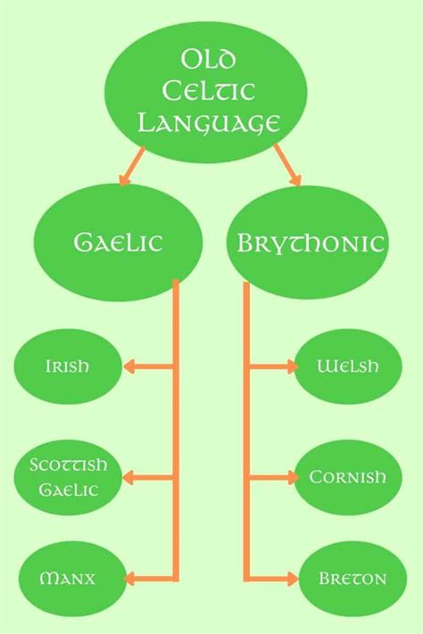 The Celtic Languages