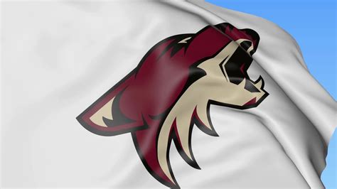 Arizona coyotes sticker, kachina, go yotes, tie dye, nhl, hockey, sticker. Arizona Coyotes Wallpaper (80+ images)
