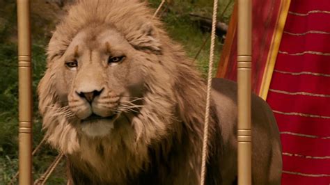 The Chronicles Of Narnia The Lion And The Witch And The Wardrobe Aslan