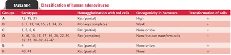 Adenovirus Classification