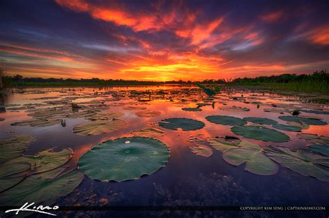 Sunset At A Lake In Kissimmee Florida Hdr Photography By Captain Kimo