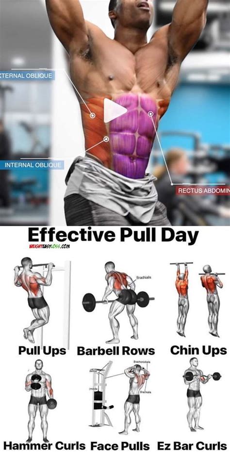 Combine Your Pull Day With The Most Powerful Bulking Stack For Amazing