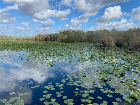 10 Interesting Things To Do In Everglades National Park Stuck On The Go