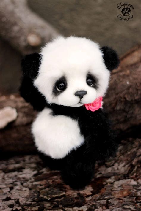 Real Life Wallpaper Real Life Cute Baby Panda Menestreistear