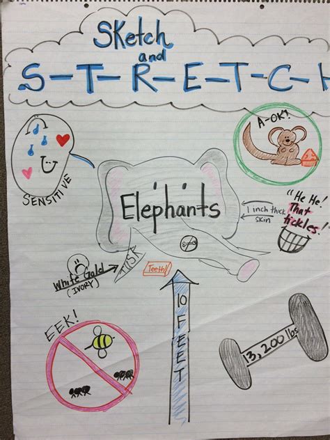 Sketch To Stretch Anchor Chart Kindergarten Vocabulary Reading