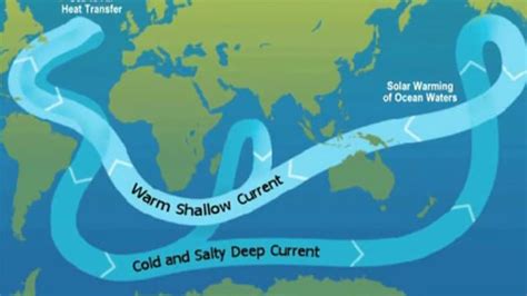 The Ocean Conveyor Belt — Science Learning Hub
