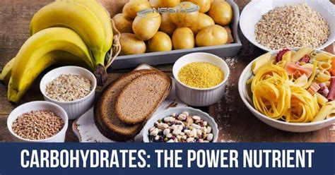 Carbohydrates The Power Nutrient Nutrition For Trainers And Coaches