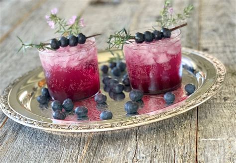 15 Fabulous And Fresh Blueberry Cocktails Forever Fresh LLC