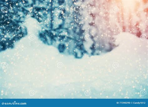 Snowy Background In Winter With Beautiful Sunshine Stock Photo Image