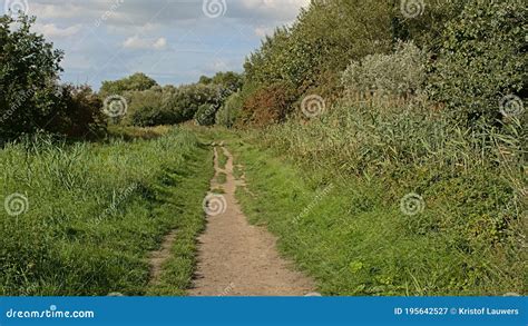 Hiking Trail Through Flemish Nature In Bourgoyen Nature Reserve Ghent