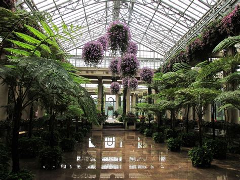 Pin By Marrrr 🍓🍰 On Places Longwood Gardens Conservatory Garden