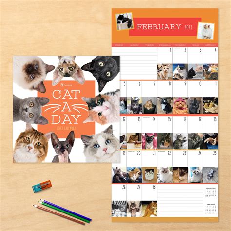 2023 Cat A Day Wall Calendar Etsy