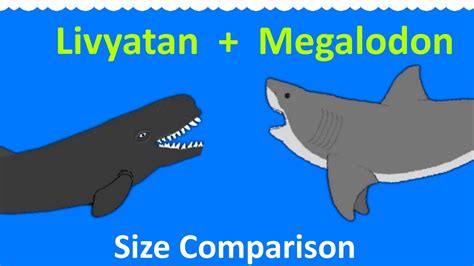 Livyatan And Megalodon Animated Size Comparison Extinct Whale And