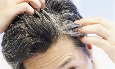 12 Effective Home Remedies For Premature Greying Of Hairs Healthspresso
