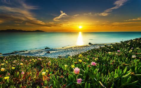 Wallpaper Sunlight Landscape Colorful Sunset Sea