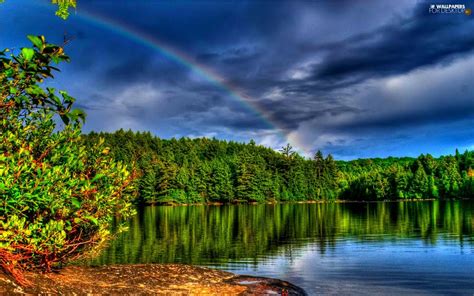 Forest Great Rainbows Lake For Desktop Wallpapers 1680x1050