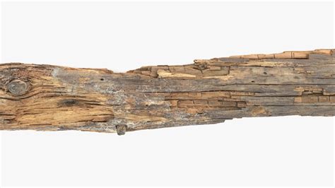 3d Model Rotten Plank With Lichen Vr Ar Low Poly Cgtrader