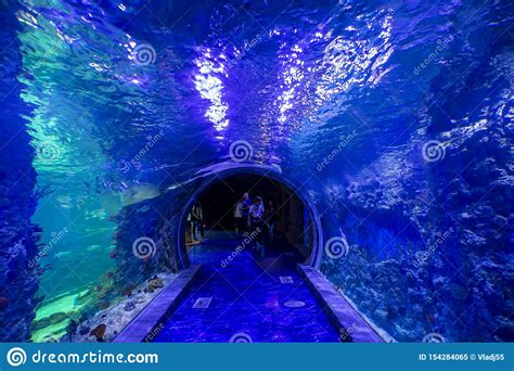 The Interior Of The Oceanarium Crocus City Over 5000 Species Of Fish