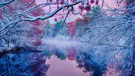 Frozen Blossom Trees With Reflection On River 4k Hd Nature Wallpapers