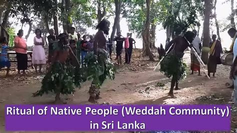Friendly Native People Weddah Community Of Sri Lanka Kiri Koraha