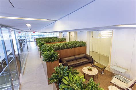 What Is Indoor Landscaping Award Winning Nyc Landscapes