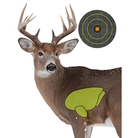 deer target printable