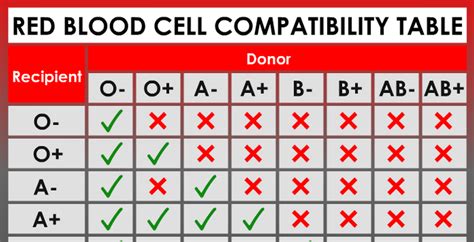 Compatible Blood Type Chart