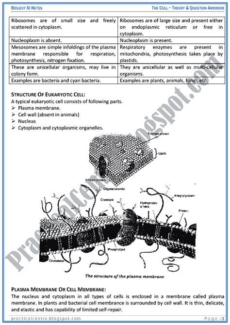 The Cell Theory And Questions Answers Biology Xi Practical Centre