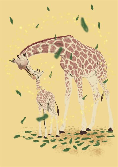 Giraffe Baby Animal Free Image On Pixabay