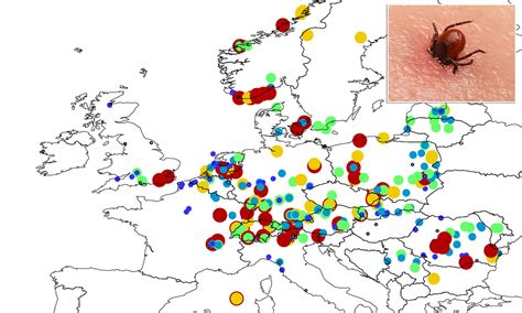Lyme Disease Map Europe