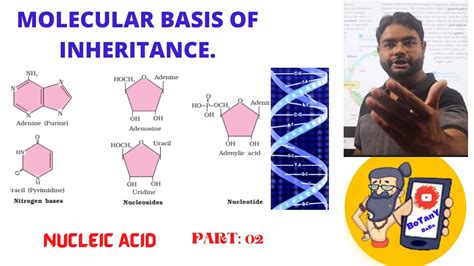 Nucleic Acid Molecular Basis Of Inheritance Part Neet Biology My XXX