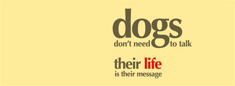 Dogs Facebook Covers Myfbcovers
