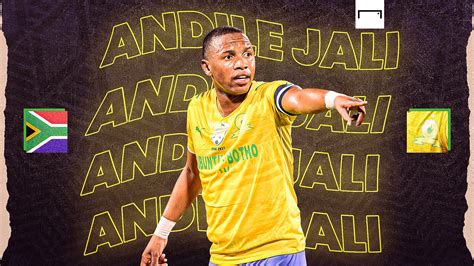 Andile Jali What Does The Future Hold India