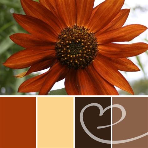 Burnt orange is a vibrant and vivid dark orange. Beautiful burnt orange color palette used in a Labor Day ...
