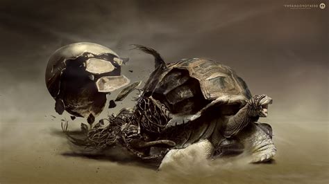 Digital Art Artwork Desktopography Animals Turtle