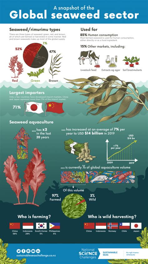 A Snapshot Of The Global Seaweed Sector Sustainable Seas National
