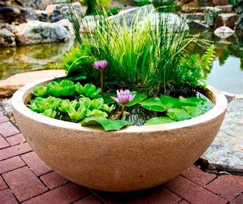 Cool 30 Charming Diy Mini Ponds In A Pot On A Budget Hngdiy