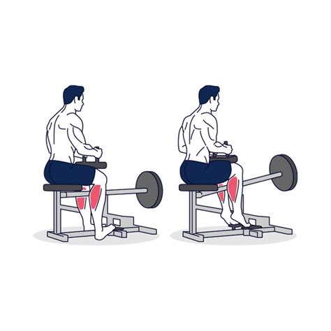 How To Do Seated Calf Raise Exercise At Simply Fitness
