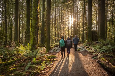 How The Japanese Practice Of Forest Bathing Can Help You Find Peace And