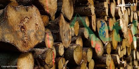 29 apr, 2021 posting komentar. Hutan Produksi: Pengertian, Jenis, Sebaran, dan Peraturan